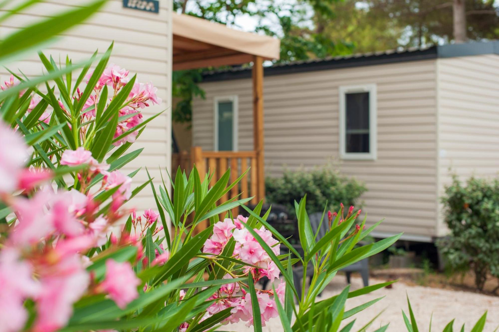 Camping Les Jardins D Agathe Le Grau-dʼAgde Exteriér fotografie